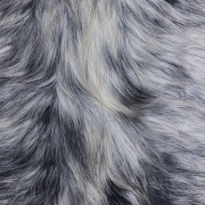 Cowhide Rug MAR24-055 (220cm x 190cm)