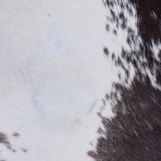 Cowhide Rug MAR24-069 (230cm x 210cm)