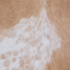 Cowhide Rug MAR24-102 (260cm x 210cm)