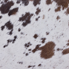 Cowhide Rug MAR24-115 (220cm x 210cm)