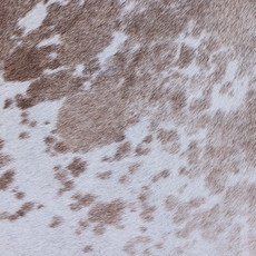 Cowhide Rug MAR24-121 (230cm x 220cm)