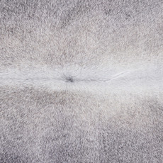 Cowhide Rug DEC24-079 (220cm x 195cm)