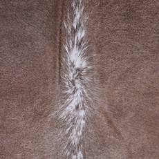 Cowhide Rug JAN25-008 (220cm x 195cm)