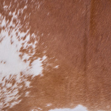 Cowhide Rug JAN25-043 (245cm x 200cm)
