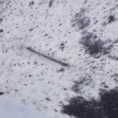 Cowhide Rug JAN25-096 (215cm x 195cm)