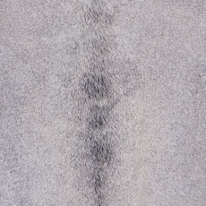 Cowhide Rug JAN25-125 (240cm x 210cm)