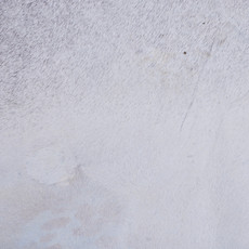 Cowhide Rug JAN25-132 (255cm x 210cm)