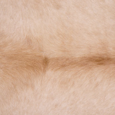 Cowhide Rug FEB25-011 (230cm x 200cm)