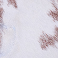 Cowhide Rug FEB25-080 (210cm x 200cm)