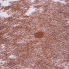 Cowhide Rug FEB25-080 (210cm x 200cm)