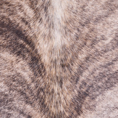 Cowhide Rug FEB25-113 (230cm x 220cm)