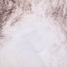 Cowhide Rug FEB25-113 (230cm x 220cm)