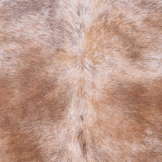 Cowhide Rug FEB25-127 (240cm x 210cm)