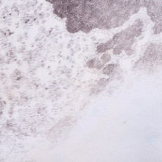Cowhide Rug FEB25-147 (240cm x 230cm)