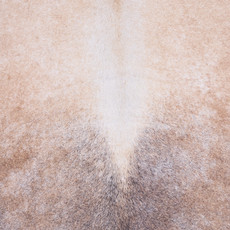 Cowhide Rug FEB25-171 (250cm x 200cm)