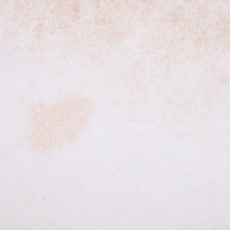 Cowhide Rug FEB25-171 (250cm x 200cm)