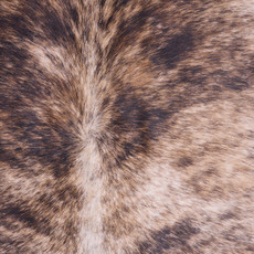 Cowhide Rug FEB25-178 (250cm x 240cm)