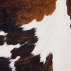 Cowhide Rug JUNE25-052 (190cm x 190cm)