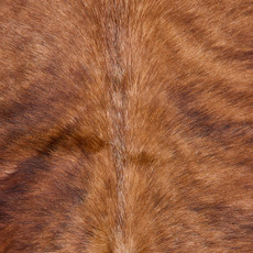 Cowhide Rug JUNE25-099 (220cm x 200cm)