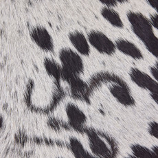 Cowhide Rug OCT25-021 (210cm x 190cm)
