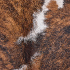 Cowhide Rug OCT25-026 (200cm x 180cm)