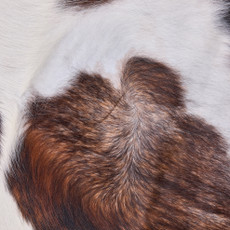 Cowhide Rug OCT25-040 (210cm x 210cm)