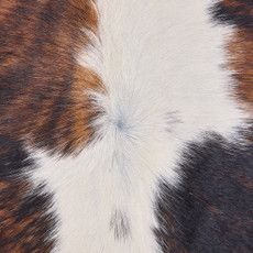 Cowhide Rug OCT25-049 (220cm x 210cm)