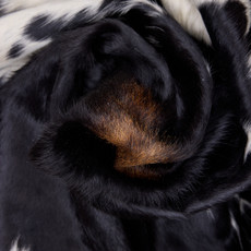 Cowhide Rug OCT25-063 (210cm x 210cm)