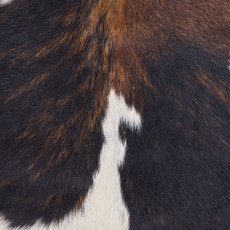 Cowhide Rug OCT25-093 (180cm x 180cm)