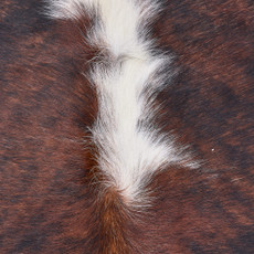 Cowhide Rug OCT25-100 (190cm x 180cm)