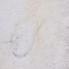 Cowhide Rug OCT25-109 (190cm x 190cm)