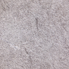 Cowhide Rug OCT25-109 (190cm x 190cm)