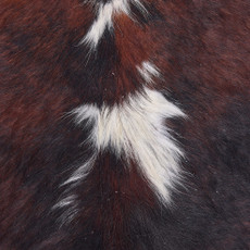 Cowhide Rug OCT25-112 (220cm x 210cm)