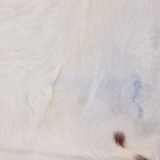 Cowhide Rug OCT25-123 (210cm x 210cm)