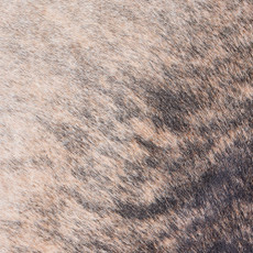 Cowhide Rug DEC25-007 (250cm x 230cm)