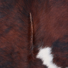 Cowhide Rug DEC25-013 (210cm x 210cm)