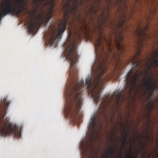 Cowhide Rug DEC25-015 (210cm x 190cm)