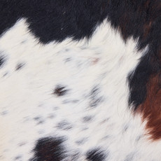 Cowhide Rug DEC25-023 (240cm x 210cm)