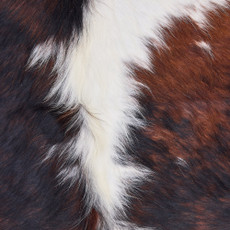 Cowhide Rug DEC25-033 (210cm x 170cm)