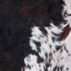 Cowhide Rug DEC25-034 (240cm x 210cm)