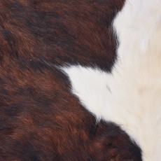 Cowhide Rug DEC25-035 (220cm x 210cm)