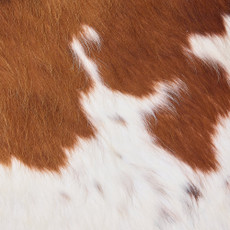 Cowhide Rug DEC25-036 (210cm x 180cm)