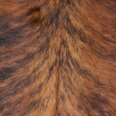 Cowhide Rug DEC25-041 (230cm x 210cm)