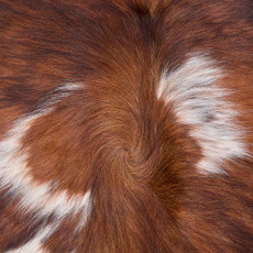 Cowhide Rug DEC25-048 (220cm x 180cm)