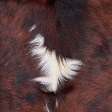 Cowhide Rug DEC25-050 (210cm x 200cm)