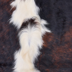 Cowhide Rug DEC25-052 (200cm x 180cm)