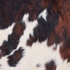 Cowhide Rug DEC25-055 (230cm x 220cm)