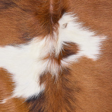 Cowhide Rug DEC25-057 (210cm x 190cm)