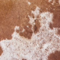Cowhide Rug DEC25-058 (220cm x 190cm)