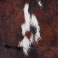 Cowhide Rug DEC25-062 (230cm x 200cm)